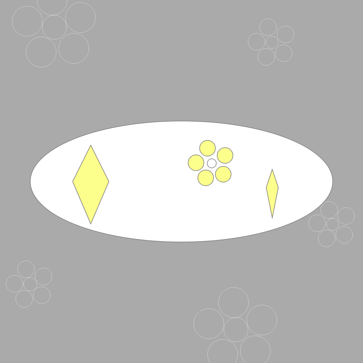 light 2
