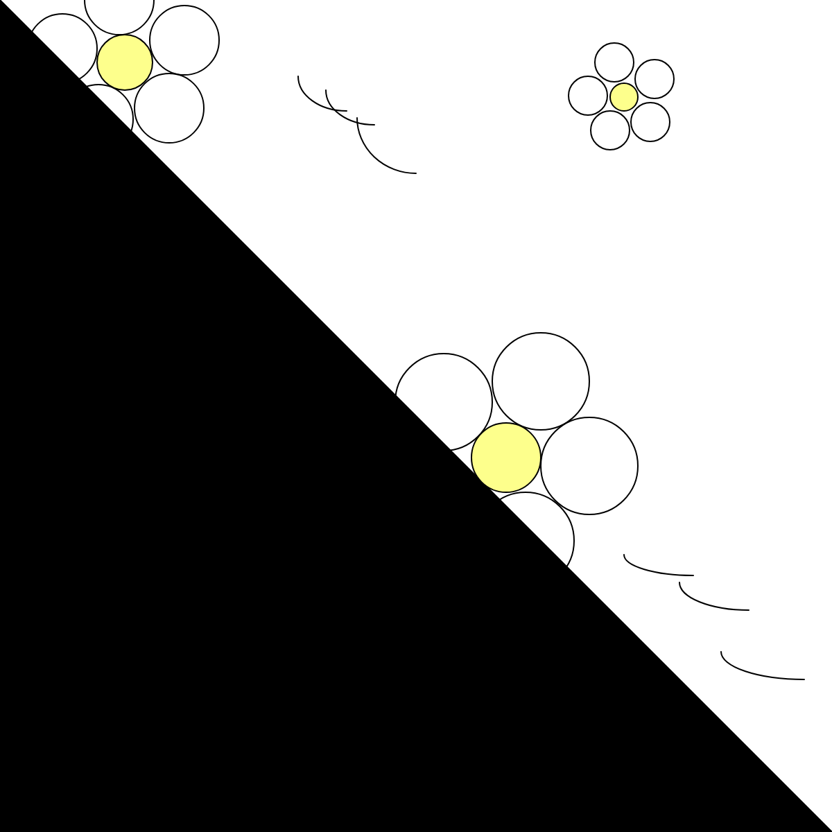 light 5